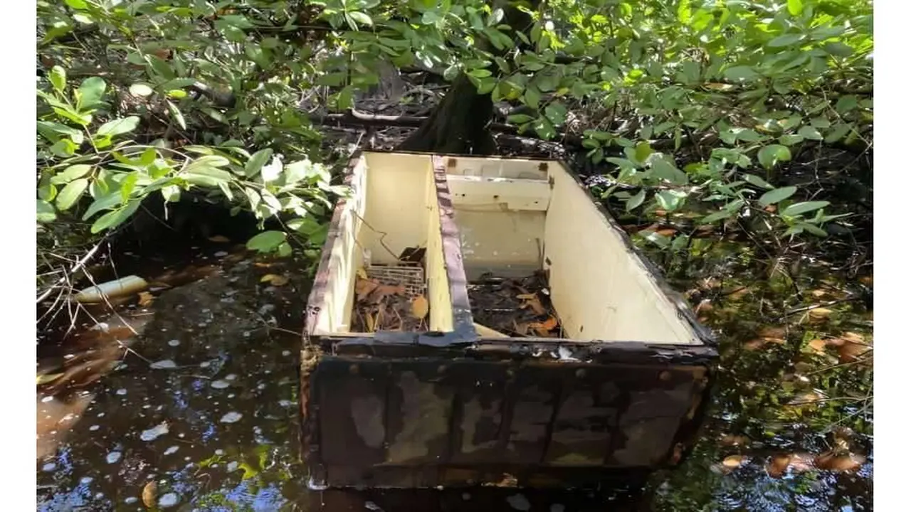 أزمة بيئية.. أشجار المانغروف الكولومبية تتحول إلى مقابر بلاستيكية تهدد الحياة البحرية